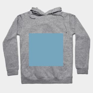 Glacier Lake Blue Spring/Summer (2022) NYFW Hoodie